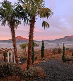 Balatoni Mediterrán Botanikus Kert