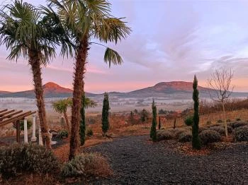 Balatoni Mediterrán Botanikus Kert Kisapáti