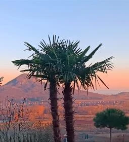 Balatoni Mediterrán Botanikus Kert