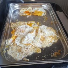 Borostyán Med Hotel, Nyíradony-Tamásipuszta - Vendéglátás