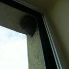 Hotel Eger & Park Eger - Egyéb