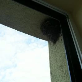 Hotel Eger & Park, Eger - Egyéb