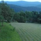 Aranyhegyi Vendégház Telkibánya - Környék