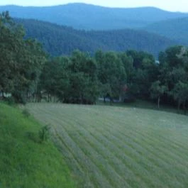 Aranyhegyi Vendégház, Telkibánya - Környék