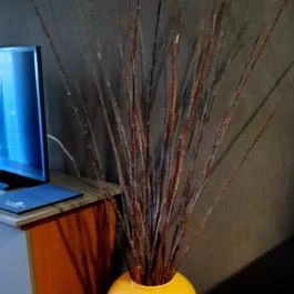 Balneo Hotel Zsori Thermal & Wellness, Mezőkövesd - Egyéb