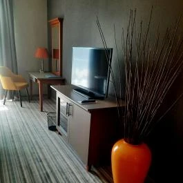 Balneo Hotel Zsori Thermal & Wellness, Mezőkövesd - Egyéb