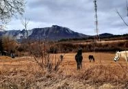 Bél-kő Bélapátfalva