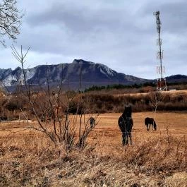 Bél-kő, Bélapátfalva - Egyéb