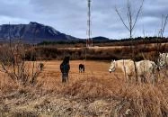 Bél-kő Bélapátfalva