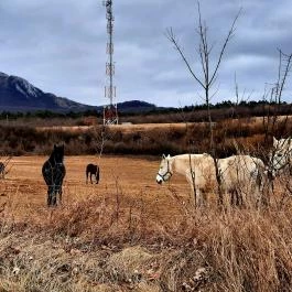 Bél-kő, Bélapátfalva - Egyéb