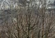 Bél-kő Bélapátfalva