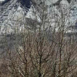 Bél-kő, Bélapátfalva - Egyéb