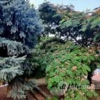 Forrás Hotel Komárom - Medence/kert