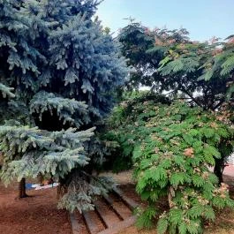 Forrás Hotel , Komárom - Medence/kert