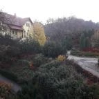 Fried Kastély Hotel Simontornya - Medence/kert