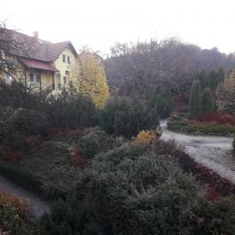 Fried Kastély Hotel Simontornya - Medence/kert