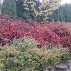 Fried Kastély Hotel Simontornya - Környék