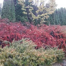 Fried Kastély Hotel Simontornya - Környék