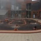 Hunguest Hotel Aqua-Sol Hajdúszoboszló - Medence/kert