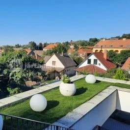 Hotel Botrytis, Mád - Medence/kert