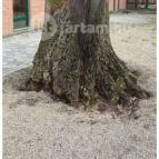 Hunguest Hotel Gyula Gyula - Környék