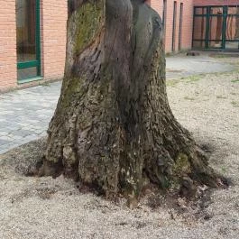 Hunguest Hotel Gyula, Gyula - Környék