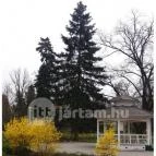 Hunguest Hotel Gyula Gyula - Környék