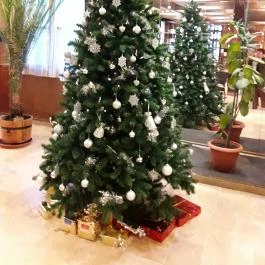 Hunguest Hotel Flóra, Eger - Belső