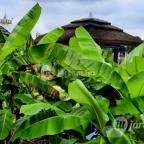 Hungarospa Prémium Zóna Hajdúszoboszló - Egyéb