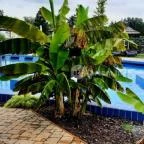 Hungarospa Prémium Zóna Hajdúszoboszló - Egyéb