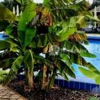 Hungarospa Prémium Zóna Hajdúszoboszló - Egyéb