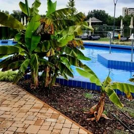 Hungarospa Prémium Zóna, Hajdúszoboszló - Egyéb