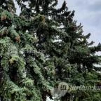 Hungarospa Prémium Zóna Hajdúszoboszló - Egyéb