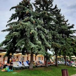 Hungarospa Prémium Zóna, Hajdúszoboszló - Egyéb