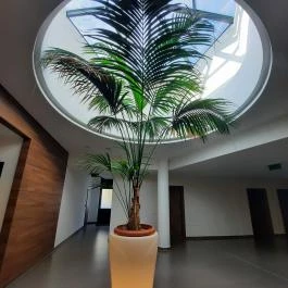 Imola Hotel Platán, Eger - Wellness