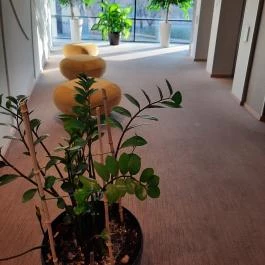 Imola Hotel Platán, Eger - Belső