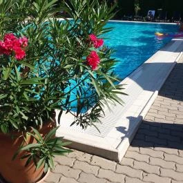 Liget Wellness & Konferencia Hotel , Szarvas - Medence/kert