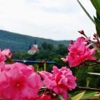 Marianna Apartman Telkibánya - Környék