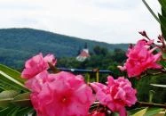 Marianna Apartman Telkibánya