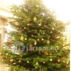 Hunguest Saliris Egerszalók - Belső