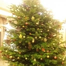 Hunguest Saliris, Egerszalók - Belső