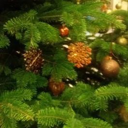 Hunguest Saliris, Egerszalók - Egyéb