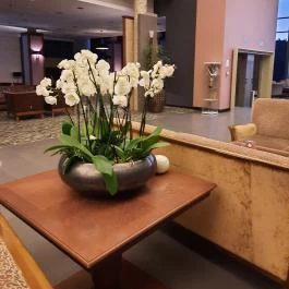 Hunguest Saliris, Egerszalók - Egyéb