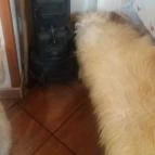 Sziget Csárda Tiszaújváros - Egyéb