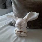 Tisia Hotel & Spa Tiszaújváros - Szobák