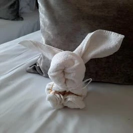 Tisia Hotel & Spa Tiszaújváros - Szobák