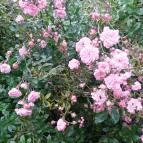 Villa Apartman Egerszalók - Egyéb