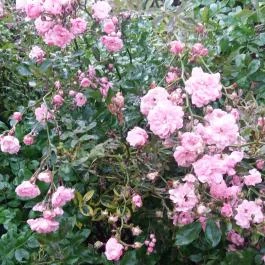 Villa Apartman, Egerszalók - Egyéb