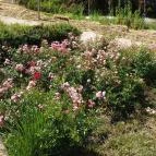 Villa Apartman Egerszalók - Környék