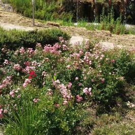 Villa Apartman, Egerszalók - Környék